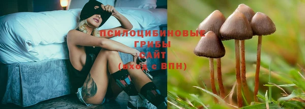 марихуана Абаза