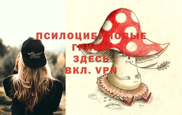 марихуана Абаза