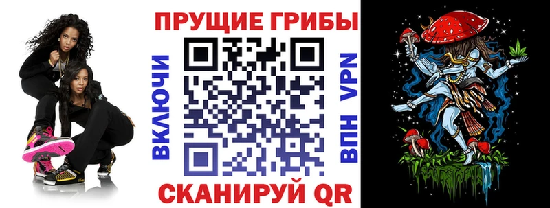 Псилоцибиновые грибы Cubensis Невельск