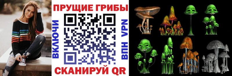 дарк нет как зайти  Невельск  Галлюциногенные грибы Psilocybe 