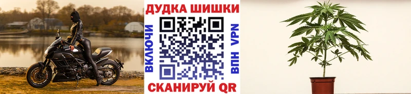 shop телеграм  Невельск  Канабис план 